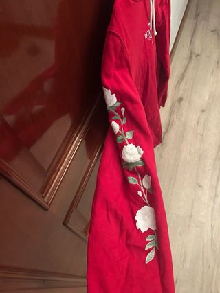 Sudadera Hollister Roja Unisex