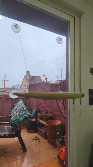 Hamaca para gatos beige