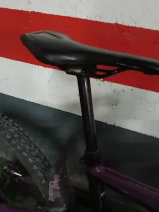 Bicicleta Orbea Rallon enduro