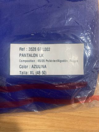 Pantalón de trabajo WORKING azul talla XL