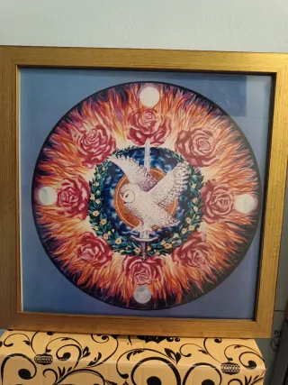 Cuadro Mandala Búho y Rosas