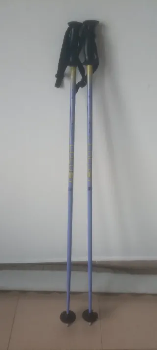 Palos de esqui 120cm