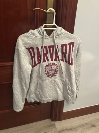 Sudadera Harvard Gris