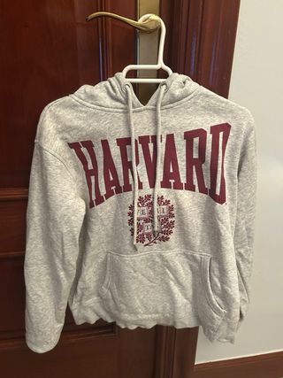 Sudadera Harvard Gris