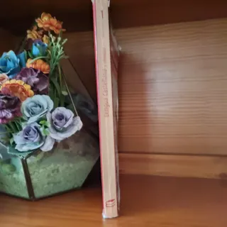 Lengua Castellana y Literatura 1º Bachillerato ...