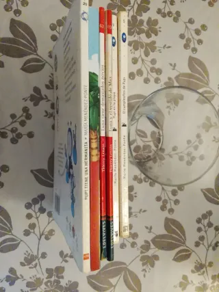 Lote de 6 libros para niños