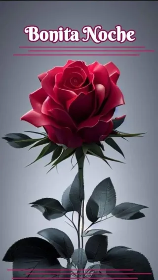 Masajes descontracturantes 4 manos