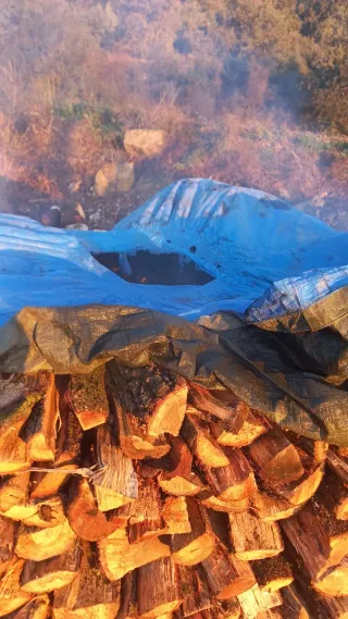 Leña de encina, roble, pino y acacia