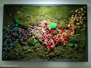 Cuadro decorativo de musgo y plantas preservadas.