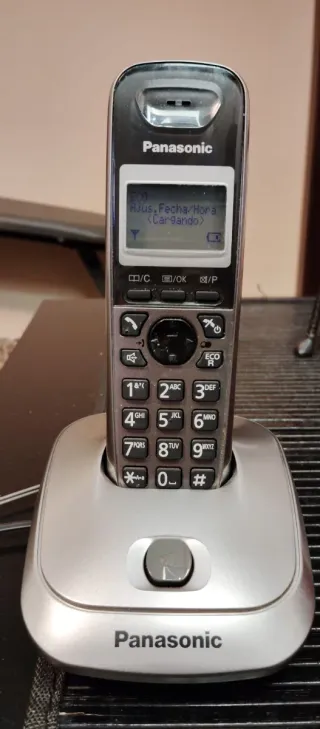 Teléfono Inalámbrico Digital Panasonic KX-TG2511SP