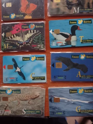 Carte telefoniche Fauna Iberica (Lotto)