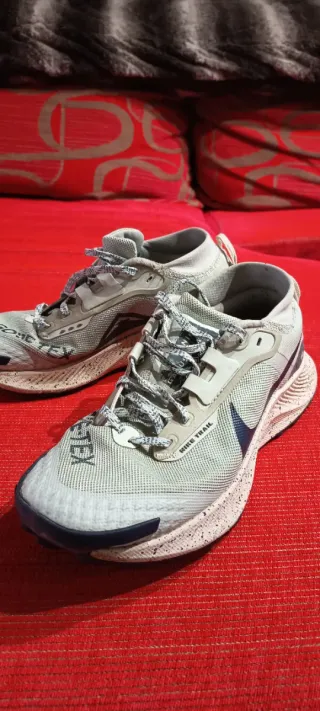 Nike Pegasus Trail 3 Goretex Beige/Gris