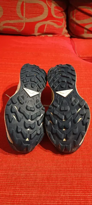 Nike Pegasus Trail 3 Goretex Beige/Gris