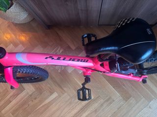 Bici Monty 103 rosa 16