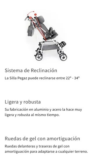 Silla de paseo pediátrica ortopedia marca Pegaz