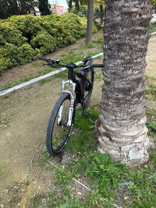 Bicicleta Eléctrica MTB