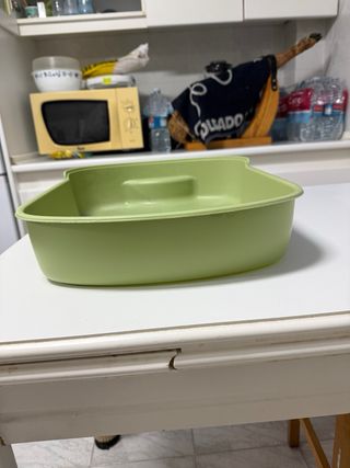 Arenero para gatos con cubierta