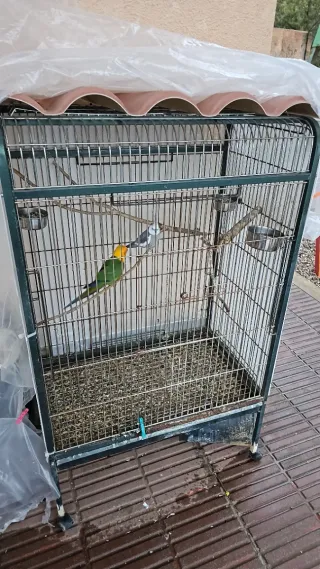 Jaula para loros grande