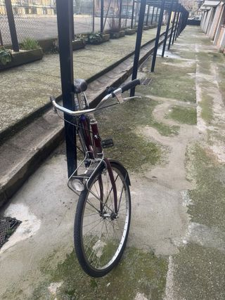 Bicicleta de paseo Raleigh