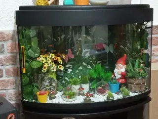 Pecera Jardín Fantasía con accesorios