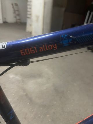 Bici Mongoose Alloy 29 Mountain Bike