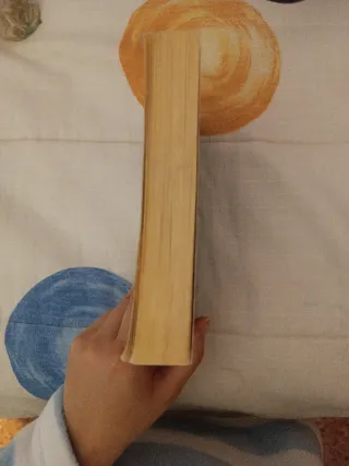 Maravilloso desastre (Beautiful 1)