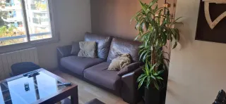 2 sofás de piel marrones