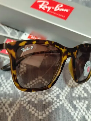 Gafas de Sol Ray-Ban Estuche Negro.