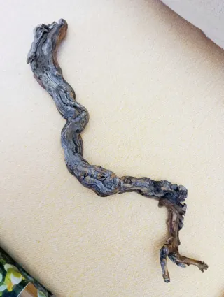 Rama de vid para terrario y acuario decoración