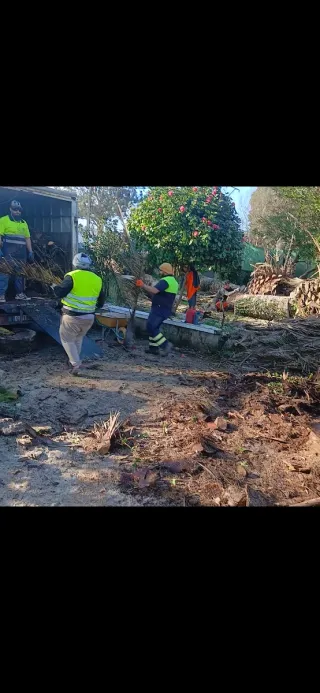 Desescombros y  demoliciones 610 97 15 84 llamarme