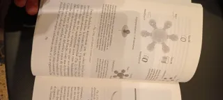 El Universo en una cáscara de nuez