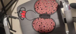 Alas de mariquita y diadema