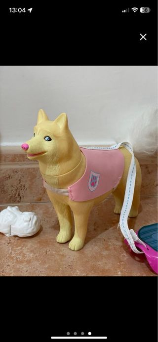 Set Muñeca Nancy veterinaria de perros