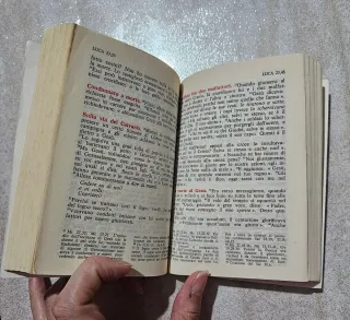 Vangelo e Atti degli Apostoli (Vangelo. Nuovo T...