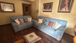 Sofás de tela azules