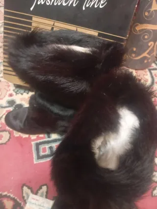 Stivali donna neri con pelliccia