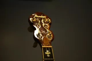 Banjo Fender FB59 Nogal