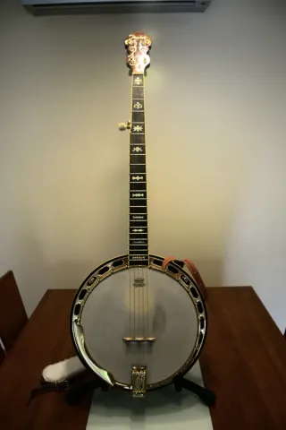 Banjo Fender FB59 Nogal