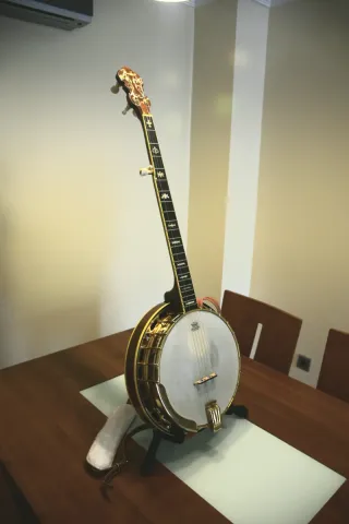 Banjo Fender FB59 Nogal