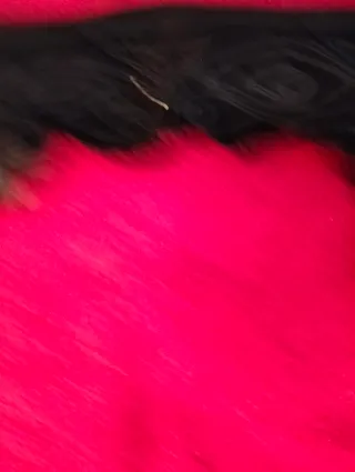 Cuello Terciopelo Bordado Vintage