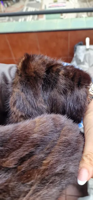 Abrigo largo de piel marron