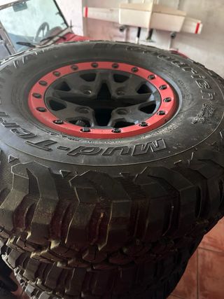 5 Ruedas completas de Canam