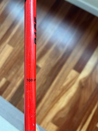 Bastones de esquí (2 pares)