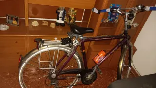 Bicicleta de ciudad morada