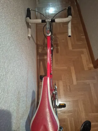 Bicicleta Rosini