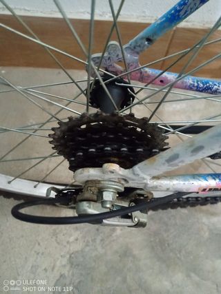 Mountain bike donna usata poco