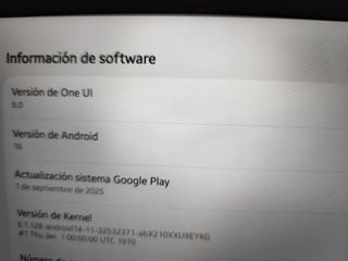 Samsung Galaxy Tab A9+ Gris