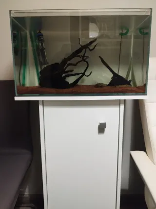 Acuario completo con mesa y filtro