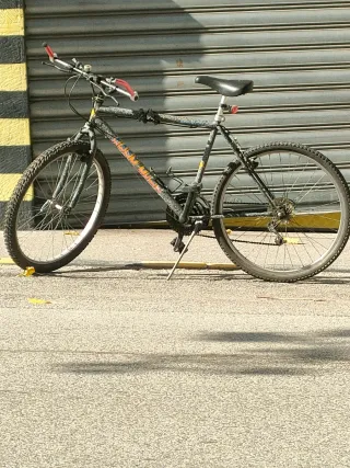 Bicicletta Mountain Bike