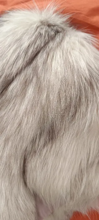 Estola de pelo beige y gris